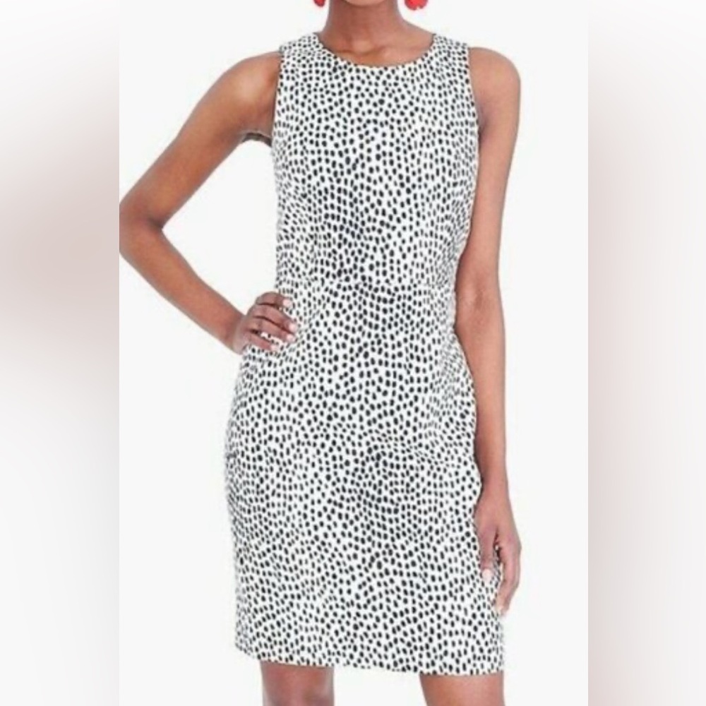 Size 6 J Crew black & white dress.